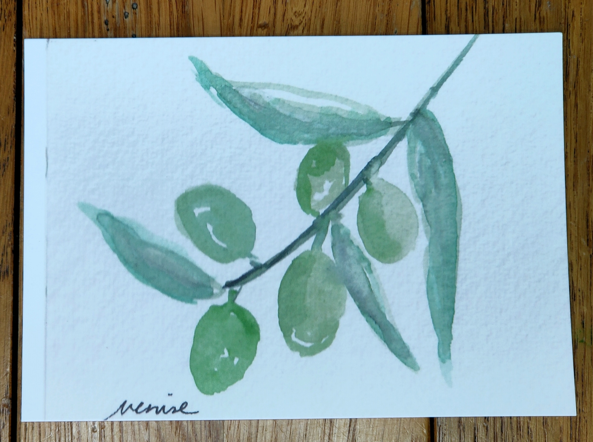carte postale aquarelle olives vertes