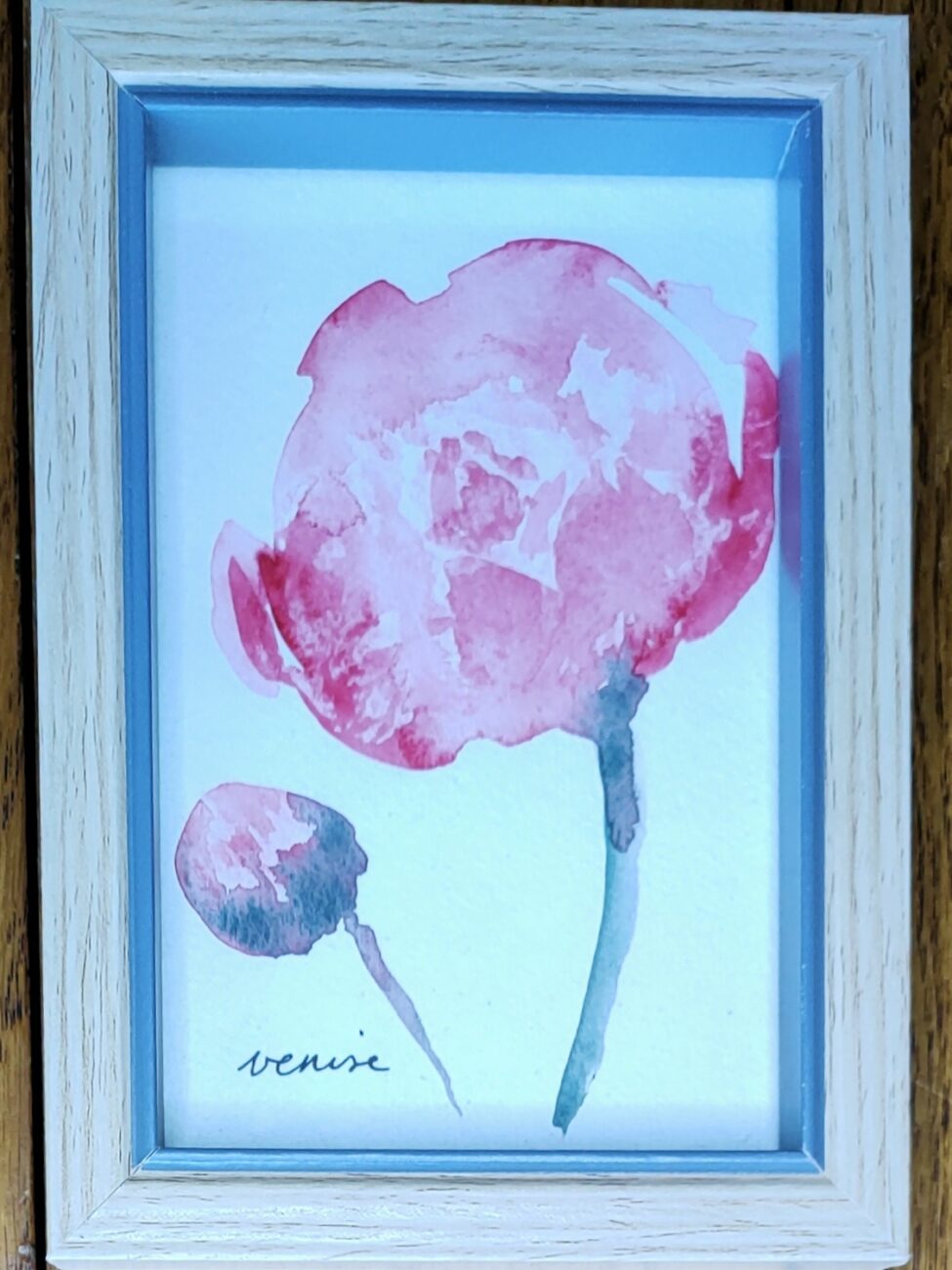 Pivoine Le Petit Monde De Venise pivoine-le-petit-monde-de-venise